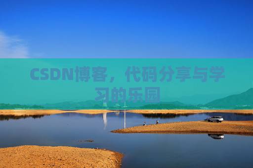 CSDN博客，代码分享与学习的乐园